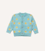 Small Rainbow Jumper - obrazek 2